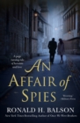 Image for An affair of spies  : a novel