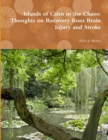 Image for Islands of Calm in the Chaos: Thoughts on Recovery from Brain Injury and Stroke