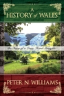 Image for A History of Wales : the Story of a Long, Hard Struggle