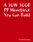 Image for 30W 300B PP Monoblock You Can Build