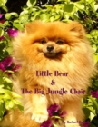 Image for Little Bear &amp; The Big Jungle Chair
