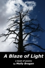Image for Blaze of Light: A Book of Poems