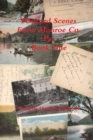 Image for Post Card Scenes from Monroe Co. Pa. Book One