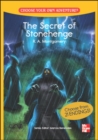 Image for CHOOSE YOUR OWN ADVENTURE: THE SECRET OF STONEHENGE