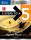 Image for 5 Steps to a 5 AP Physics 1 2017, Cross-Platform Prep Course (e-book)