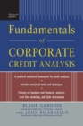 Image for Standard &amp; Poor&#39;s Fundamentals of Corporate Credit Analysis (PB)