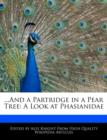 Image for ...and a Partridge in a Pear Tree : A Look at Phasianidae
