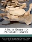Image for A Brief Guide to Prostate Cancer