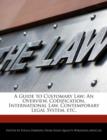 Image for A Guide to Customary Law