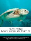 Image for Protecting Loggerhead Sea Turtles