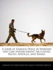 Image for A Look at Famous Dogs in Warfare and Law Enforcement Including Balto, Appollo, and Bamse