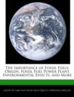 Image for The Importance of Fossil Fuels : Origin, Fossil Fuel Power Plant, Environmental Effects, and More