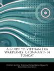 Image for A Guide to Vietnam Era Warplanes : Grumman F-14 Tomcat