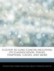 Image for A Guide to Lung Cancer Including Its Classification, Stages, Symptoms, Causes, and More