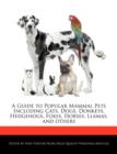 Image for A Guide to Popular Mammal Pets Including Cats, Dogs, Donkeys, Hedgehogs, Foxes, Horses, Llamas, and Others