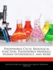 Image for Phosphorus Cycle : Biological Function, Phosphorus Minerals, Human Interference, and More