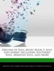 Image for Origins of Soul Music Book 3