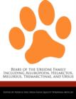 Image for Bears of the Ursidae Family Including Ailuropoda, Helarctos, Melursus, Tremarctinae, and Ursus