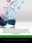 Image for Musical Instruments in Classical Music Including Chordophones, Aerophones, Membranophones, and Idiophones