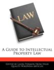 Image for A Guide to Intellectual Property Law