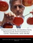 Image for Phylogenetics : Introduction, Molecular Phylogenetics, Gene Transfer, and More