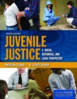 Image for Juvenile Justice: A Social, Historical, And Legal Perspective