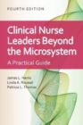 Image for Clinical nurse leaders  : beyond the microsystem