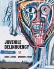 Image for Juvenile Delinquency : The Core