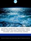 Image for Oceanic Habitats Including Coral Reefs, Deep Sea and Trenches, Open Oceans, and Intertidal Zones