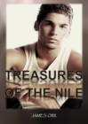 Image for Treasures of the Nile
