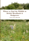 Image for Where to Find the Wildlife in British Woodlands &amp; Hedgerows