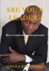 Image for Are You A Leader?
