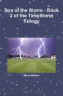Image for Son of the Storm - The Timestorm Trilogy Book 2