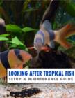 Image for Looking After Tropical Fish: Setup &amp; Maintenance Guide
