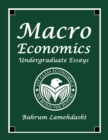 Image for Macroeconomics Undergraduate Essays