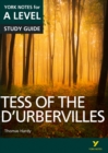 Tess of the D’Urbervilles: York Notes for A-level everything you need to catch up, study and prepare for and 2023 and 2024 exams and assessments - Sayer, Karen