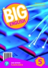 Image for Big English AmE 2nd Edition 5 Flashcards