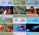 Image for Science Bug International Year 3 Workbook Pack