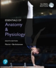 Image for Essentials of anatomy & physiology