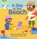 Image for Bug Club Phonics - Phase 1 Unit 0: A Day at the Beach