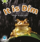Image for It is dim