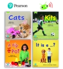 Image for Learn to Read at Home with Bug Club Phonics: Phase 2 - Reception Term 1 (4 non-fiction books) Pack B