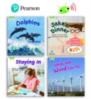 Image for Learn to Read at Home with Bug Club Phonics: Phase 5 - Year 1, Terms 1 and 2 (4 non-fiction books) Pack B