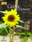 Image for Bug Club Reading Corner: Age 4-7: Grow a Flower