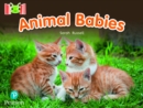 Image for Bug Club Reading Corner: Age 4-7: Animal Babies