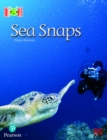Image for Bug Club Reading Corner: Age 5-7: Sea Snaps