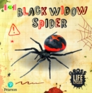 Image for Bug Club Reading Corner: Age 5-7: Gross Lifecycles: Black Widow Spider