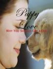 Image for Puppy Love - Why You Should Get a Dog