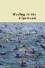 Image for Wading in the Slipstream : An Image Maker&#39;s Journey