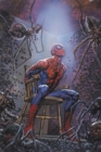 Image for Spider-man&#39;s Tangled Web Omnibus